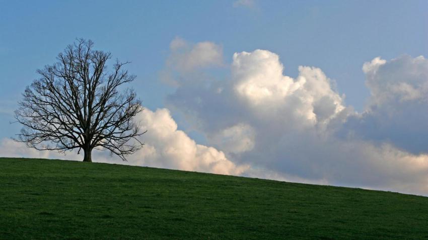 Ultra HD, 4K, Landscape (1)