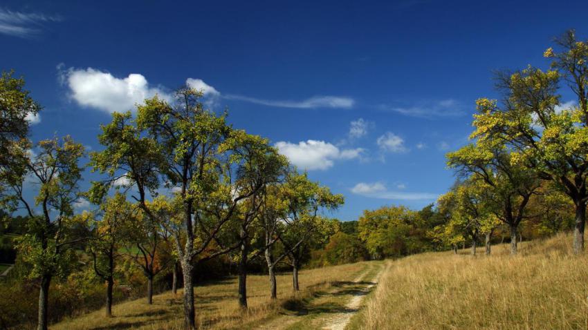 Ultra HD, 4K, Landscape (17)