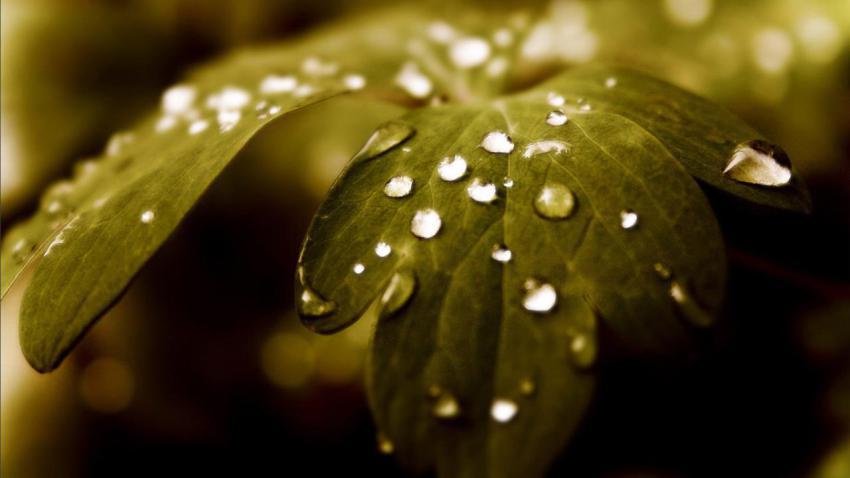 100 Amazing Mixed Wallpapers {Pack  344} (85)