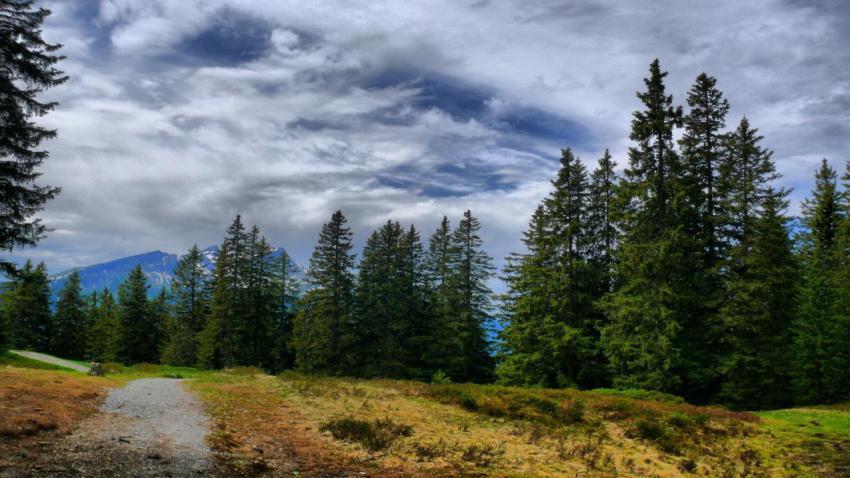 100 Amazing Mixed Wallpapers {Pack  344} (93)