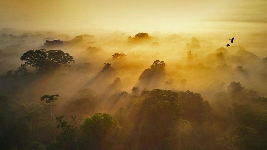 AmazonianEcuador 1920x1080