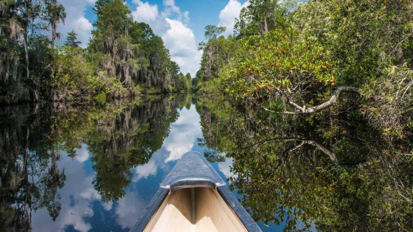 AmericanWetlands