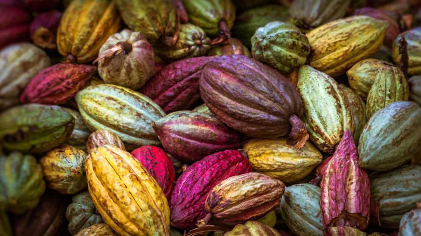 CocoaPods
