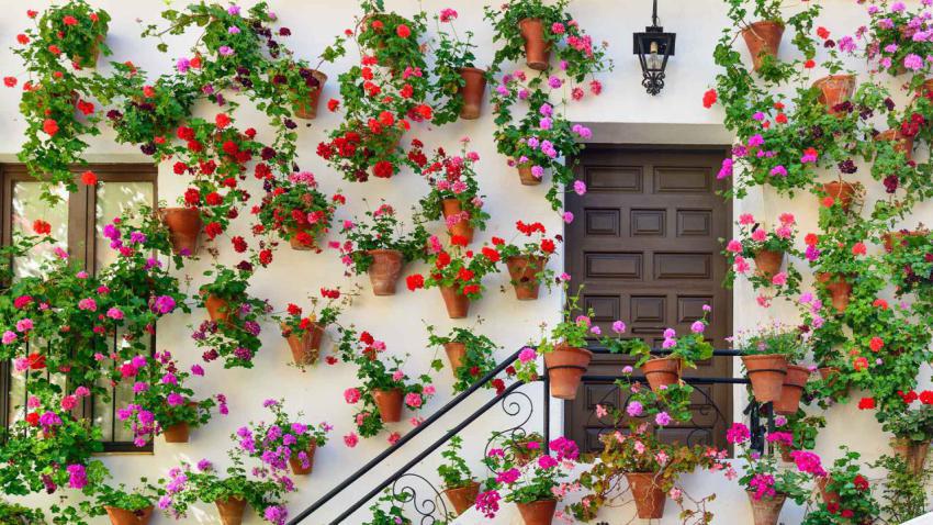CordobaCourtyardFlowers