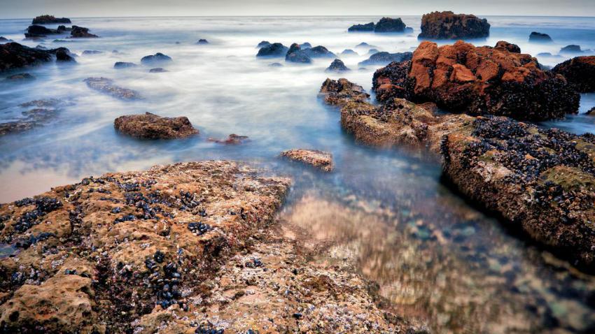02892 risingtides 2560x1440