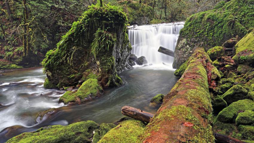 03205 lowereastforkfalls 2560x1440