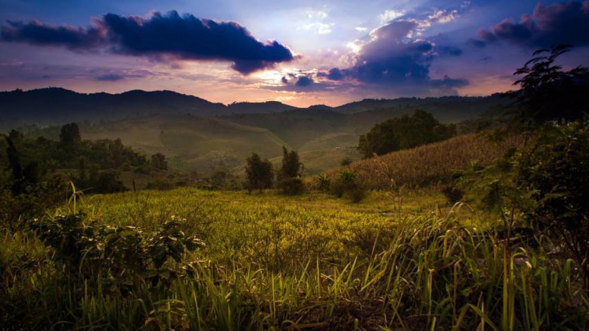 03483 ruralthailand2 2560x1440