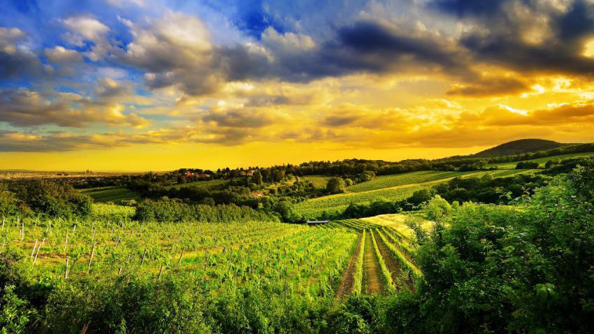 03545 hillsofvienna 2560x1440