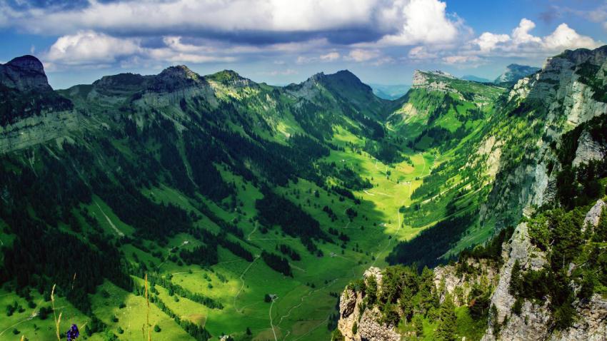 03650 justistal 2560x1440
