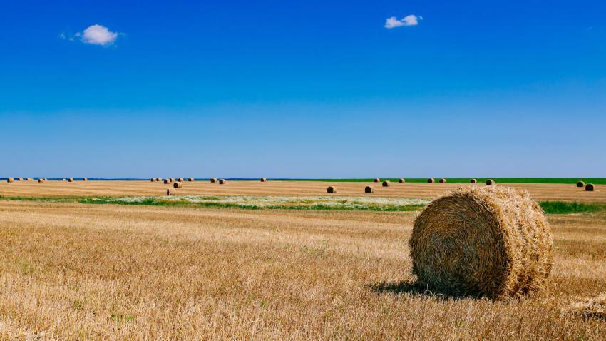 03671 summerfields 2560x1440