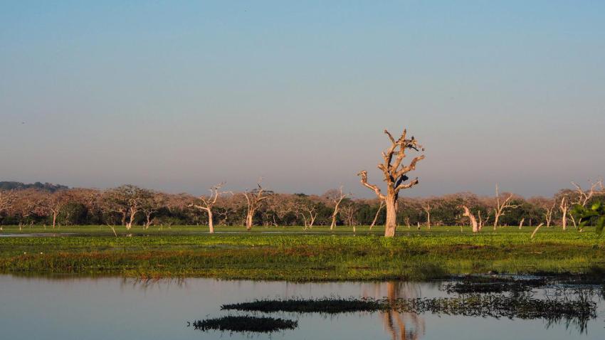 03937 yalanationalpark 2560x1440