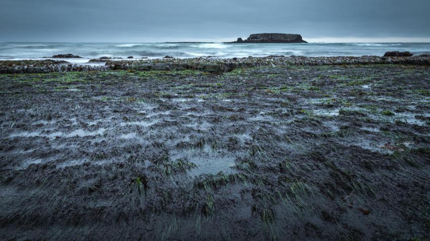 Streaks of Sludge