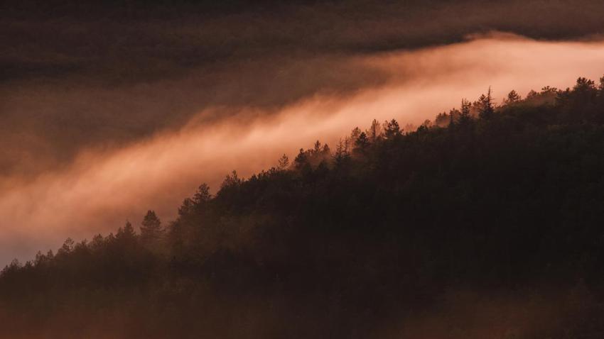 04075 foggysunsetinfrance 2560x1440