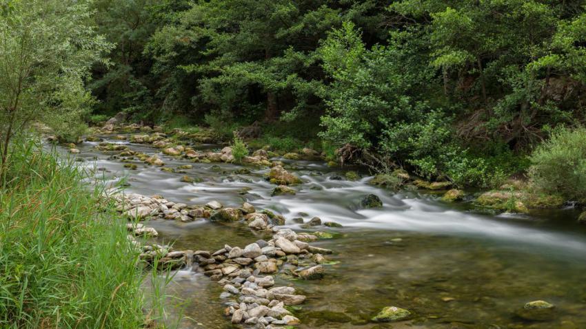 Agly river in summer