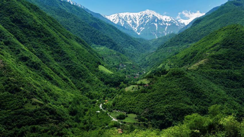 Alborz Green