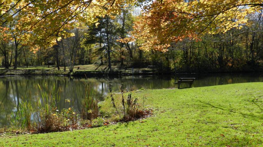 Brush Creek Pond
