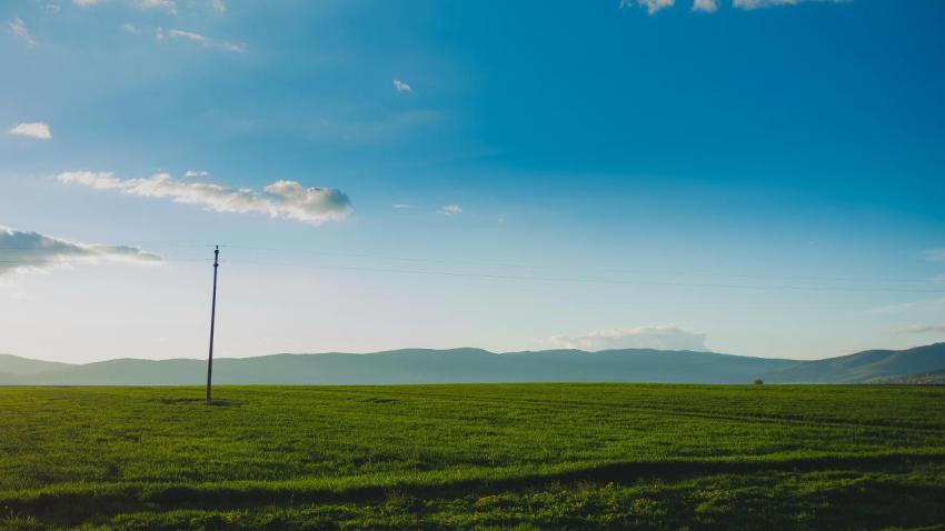Fields of Green