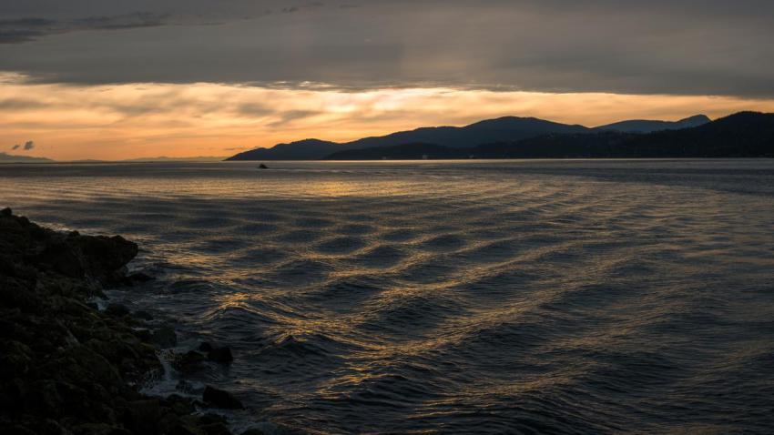 Fleeting Waves
