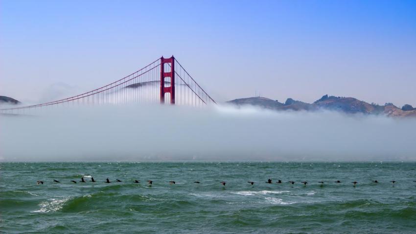 Foggy Bridge