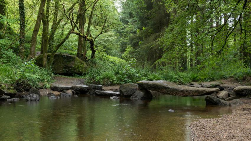 Pont rouge dans la forêt d'Huelgoat