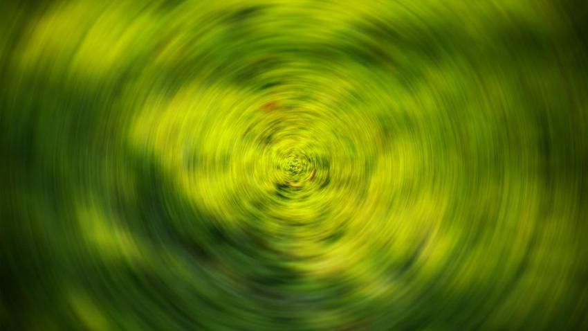Grass bookeh