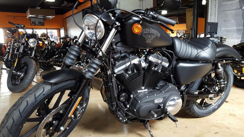 Harley Davidson Sportster Iron 883