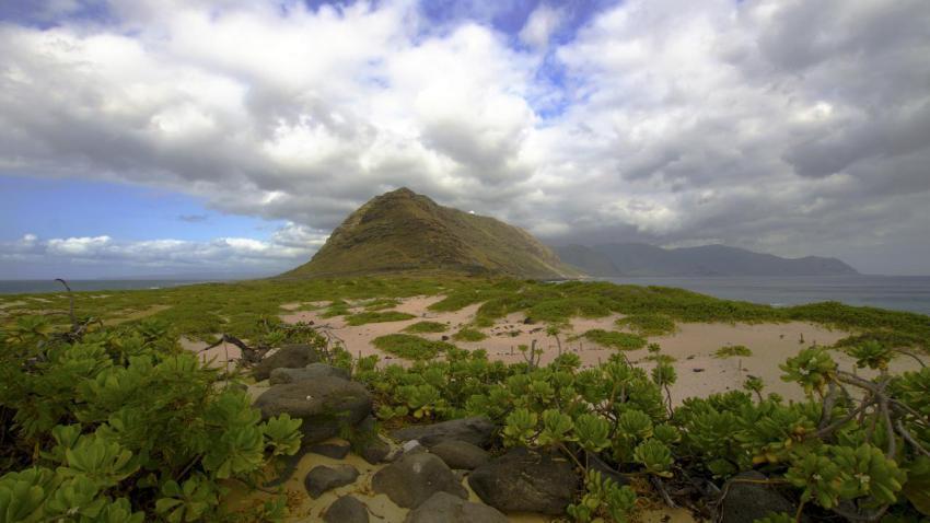 Ka'ena Point, Hawaii