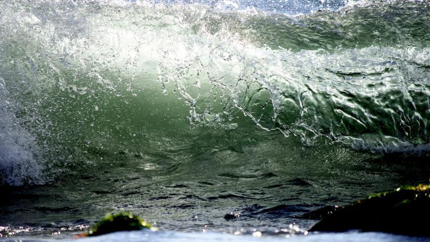Light Waves