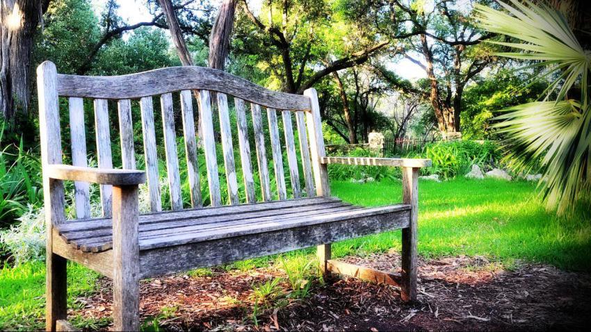 Mayfield Park Peace