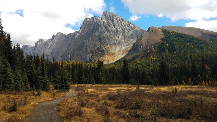 Mt  Chester in the Fall