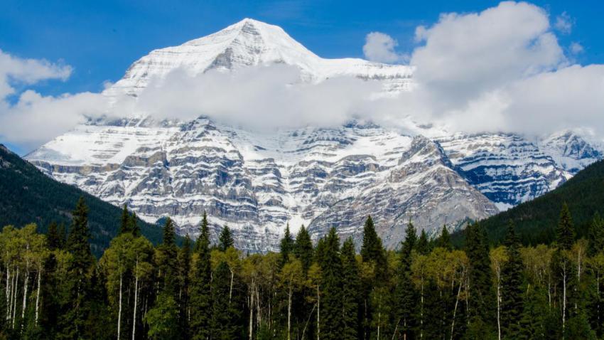 Mt Robson