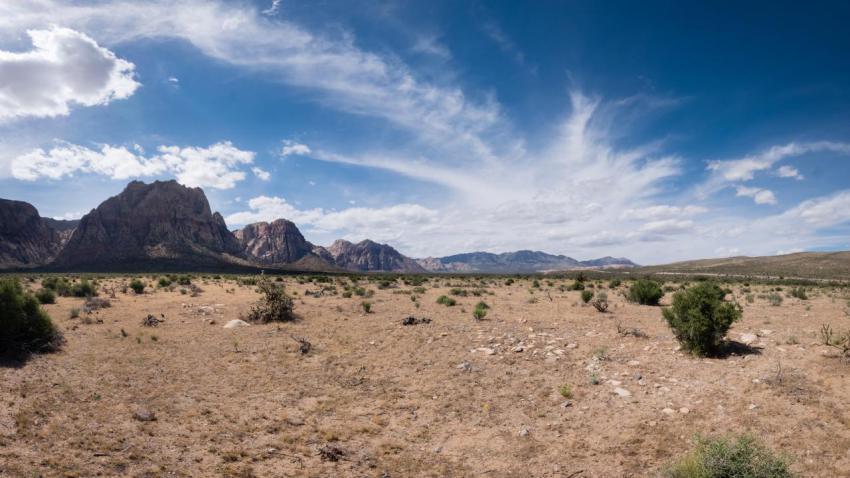 Red Rock Canyon Desert