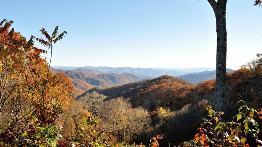 The Great Smoky Mountains
