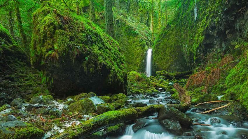 MossyGrottoFalls