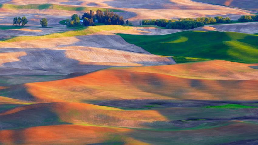 PalouseHills
