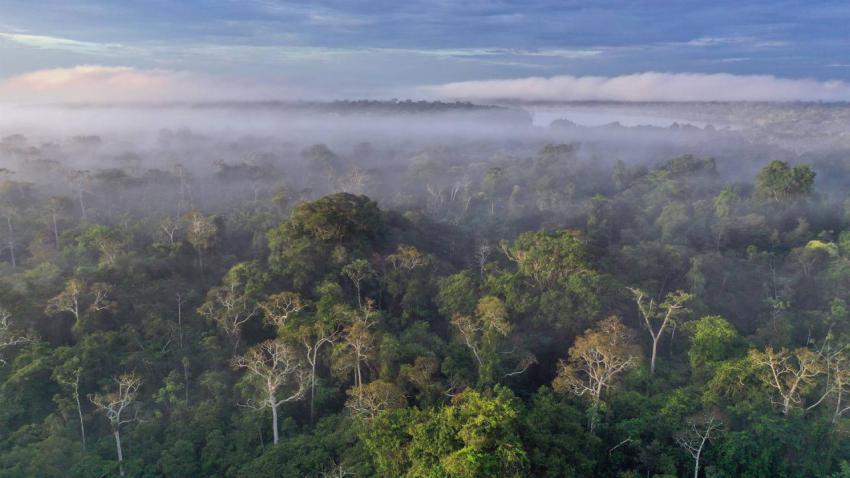 PeruAmazon