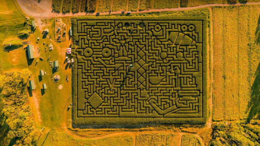 PoconosMaze