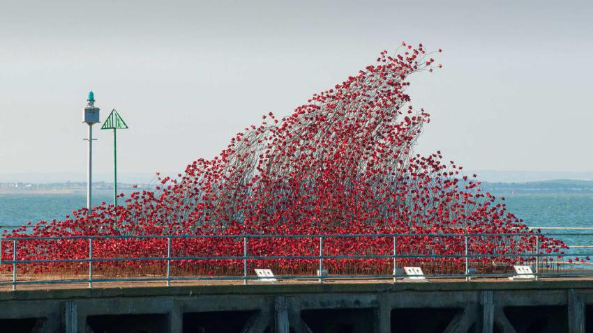 PoppyWave