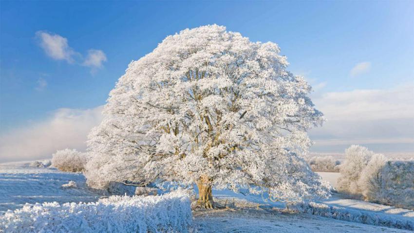 WinterCotswolds 1920x1080