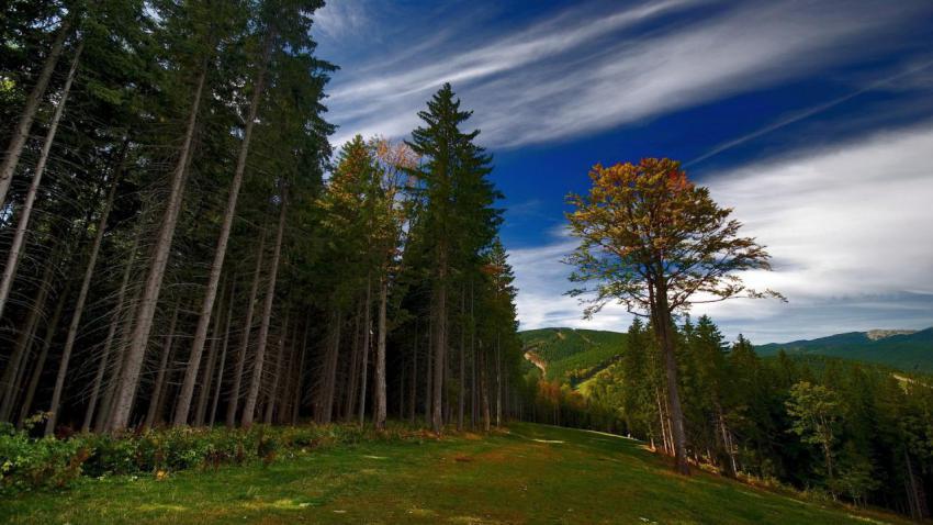 Landscape, natural, background, free download (19)