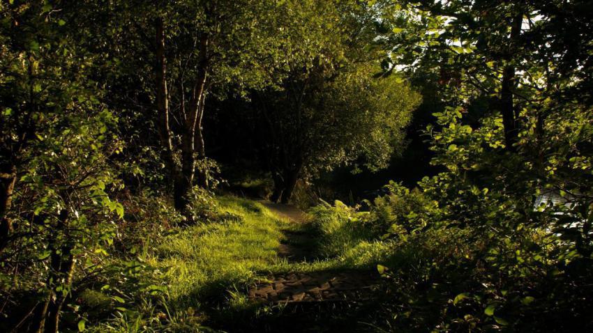 Landscape, natural, background, free download (33)