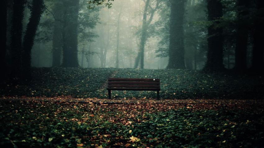 Landscape, natural, background, free download (36)