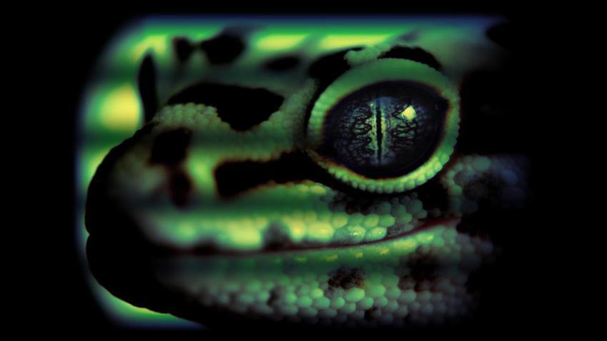 00275 edsezhi 2560x1440