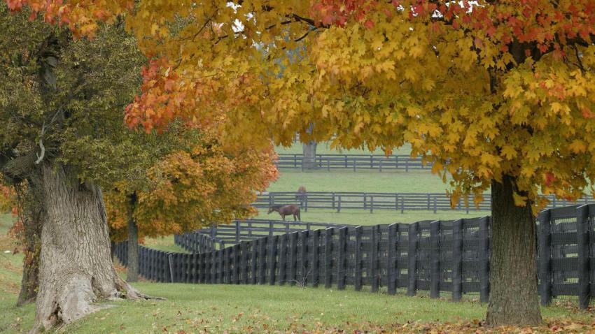 00288 horsefarm 2560x1440
