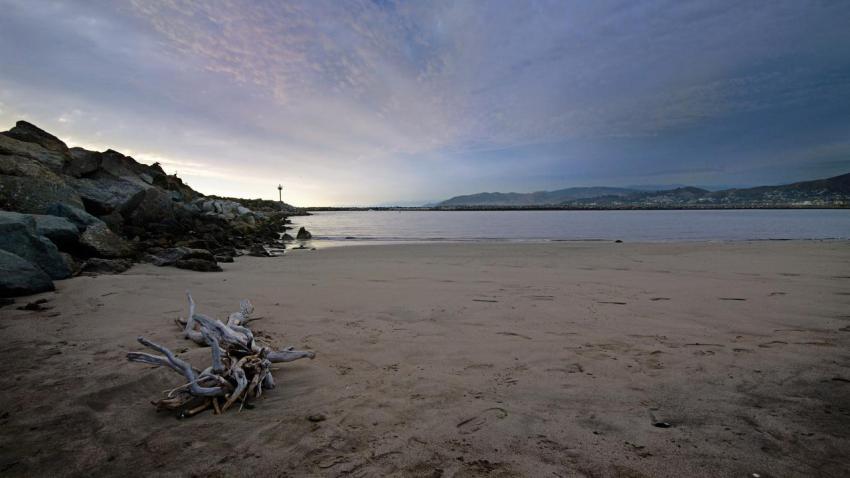 01083 venturabeachdriftwood 2560x1440
