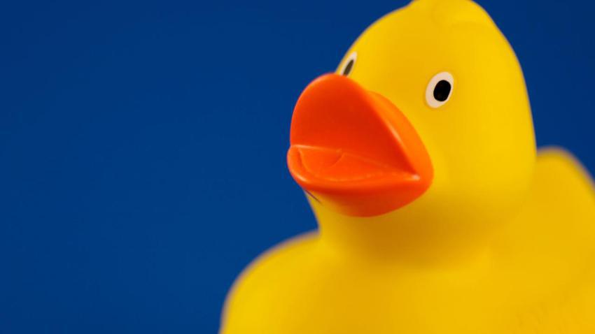 01101 ducky 2560x1440