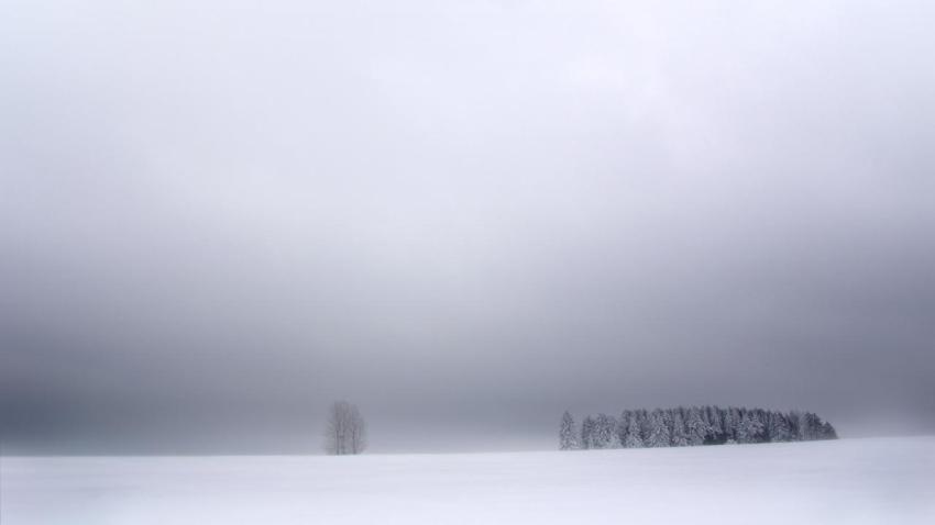 01142 whitetrees 2560x1440