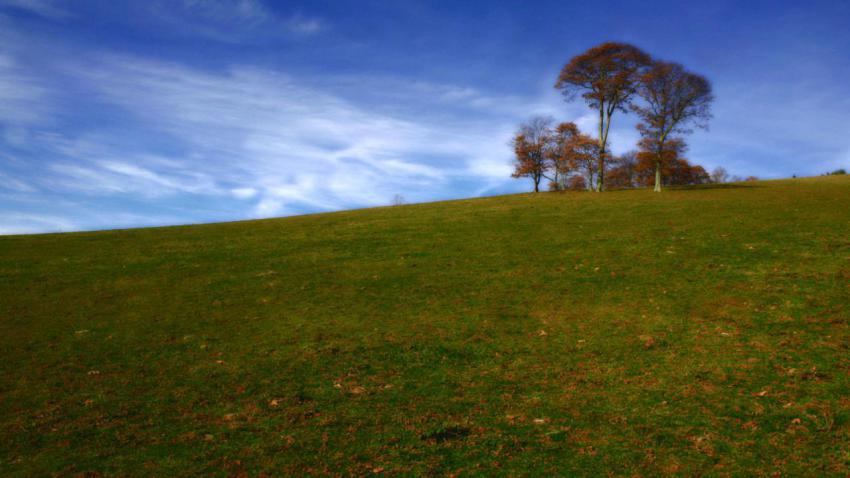 01194 indiantreehill 2560x1440