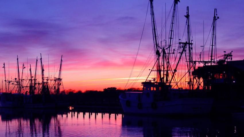 01271 onthedocksincharleston 2560x1440