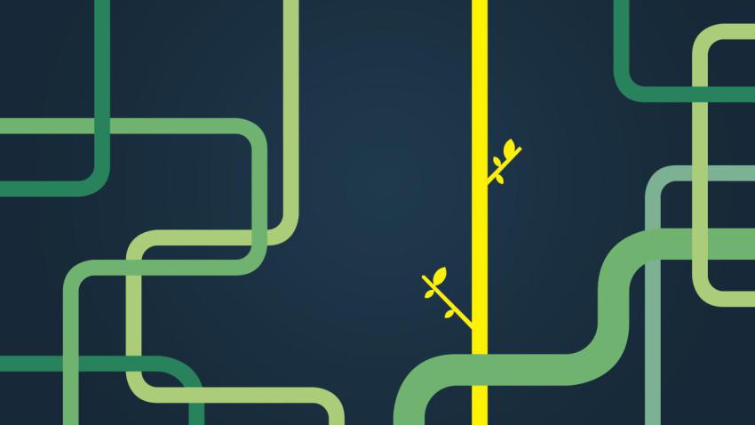 01592 plantintheplumbing 2560x1440